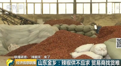 辣椒10天急涨3块！但商贩却很发愁，啥情