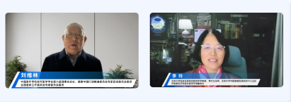 银14.1