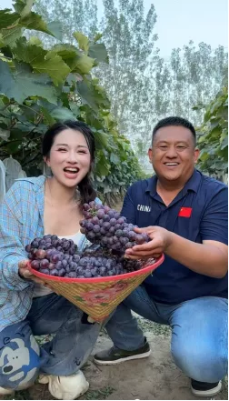 辛火计划河南专场启动 辛选主播陈小硕直播助力“豫货通天下”（定）752